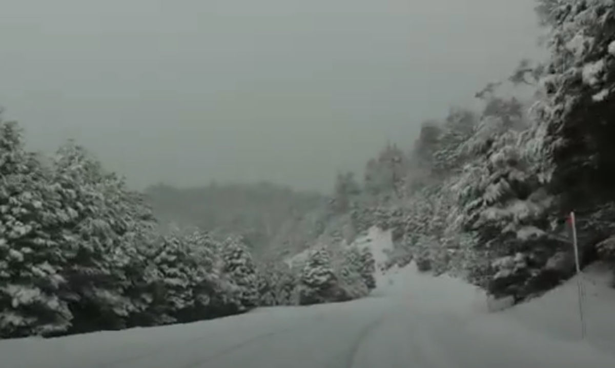 Suspenden tránsito de vehículos en paso internacional Cardenal Samoré por caída de nieve