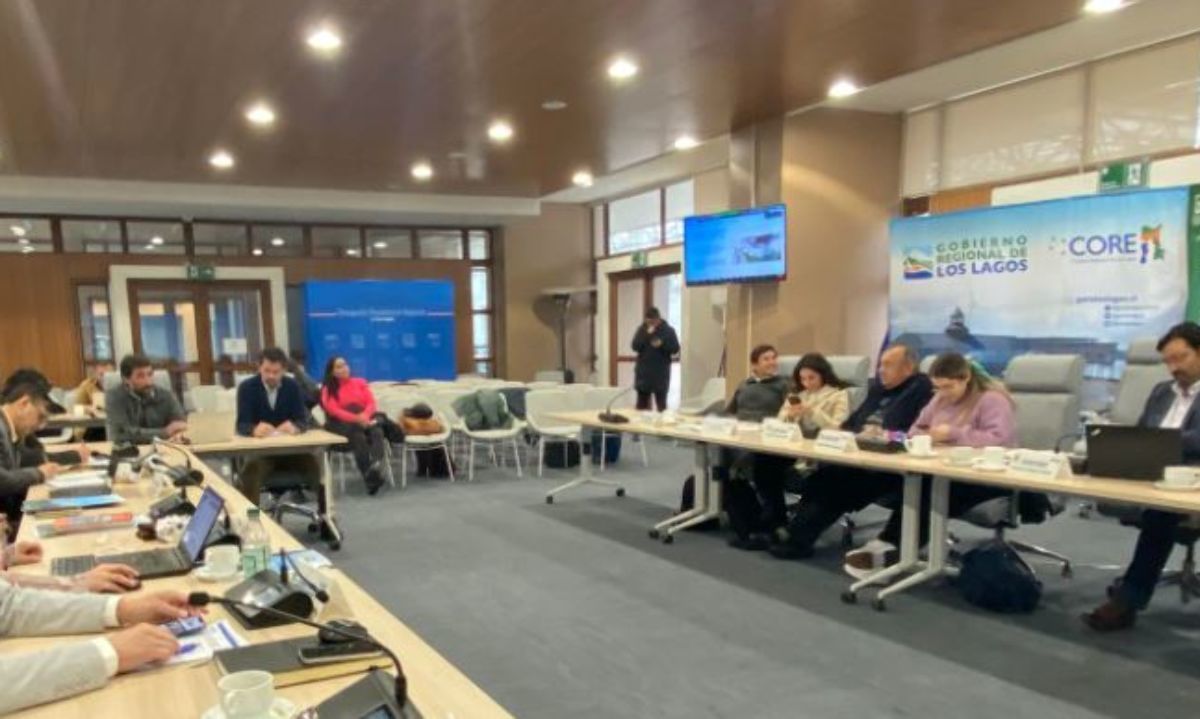 Presentan a consejereos regionales avances del proyecto de Teleféricos para Puerto Montt