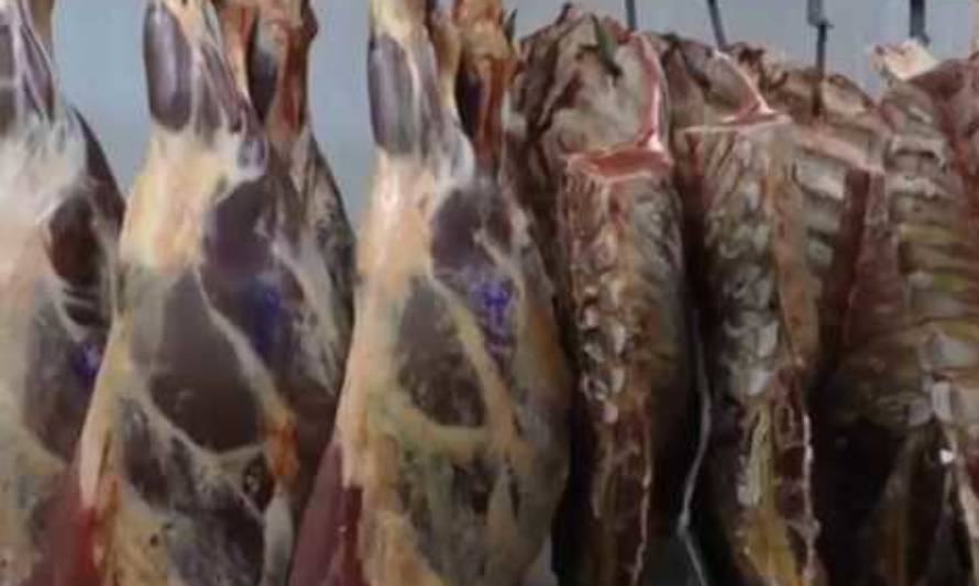 Por las Fiestas Patrias fiscalizan venta de carne en Osorno