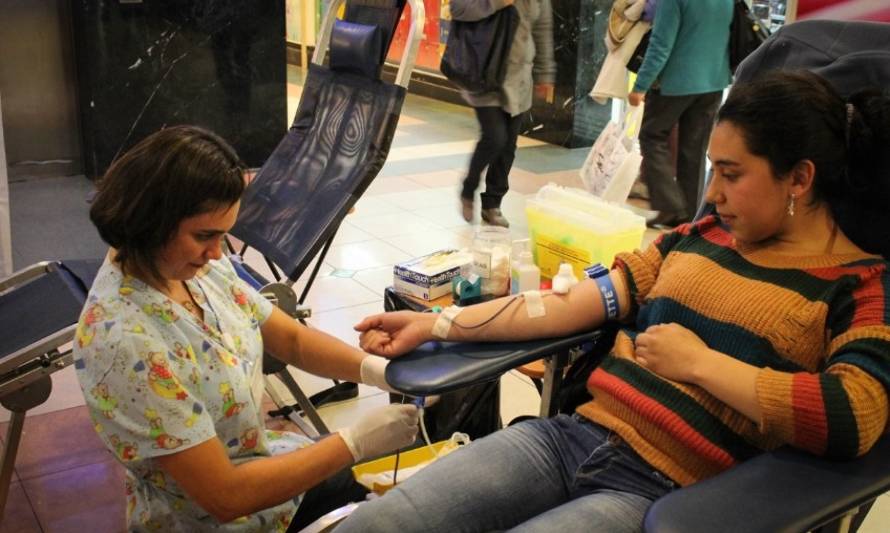 Realizarán colectas de sangre en el terminal de buses de Puerto Montt