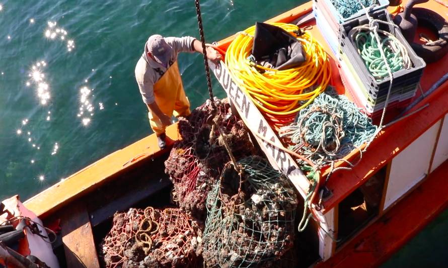 Pescadores de Carelmapu regalan mariscos a vecinos por crisis del covid-19