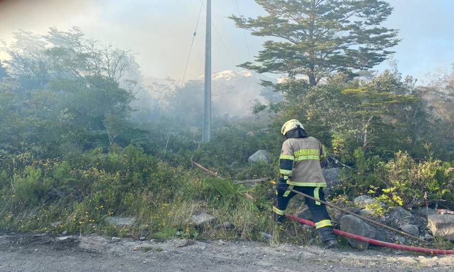 Incendio forestal destruyó 2,5 hectáreas y amenazó viviendas en Lago Chapo