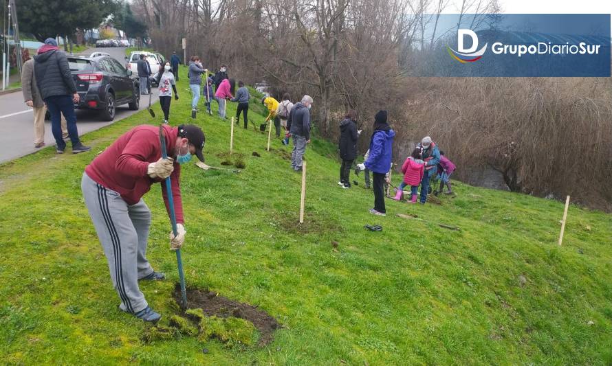 Familias plantan 100 árboles a orillas del río Damas