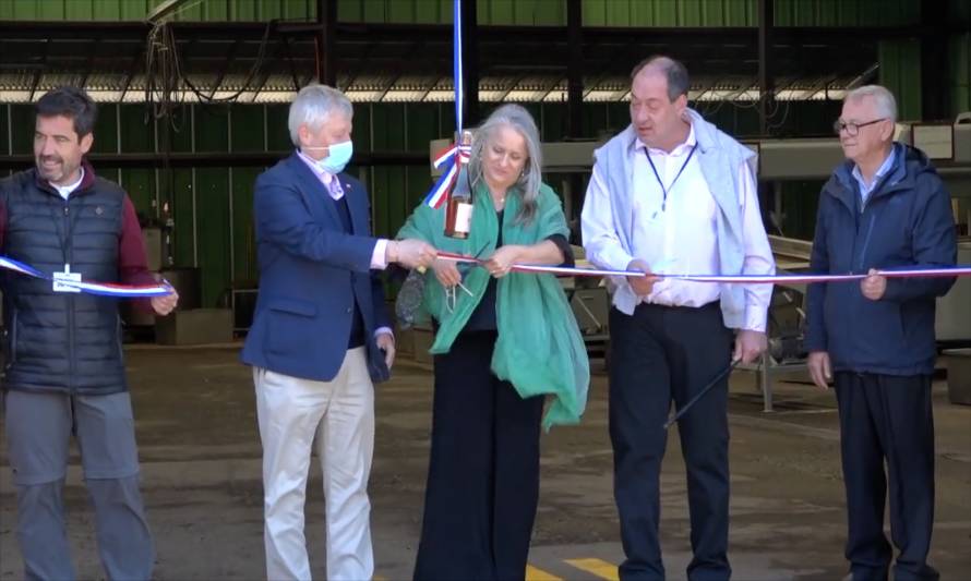 Patagonía-bio: La empresa que transforma algas marinas a abono para la agricultura