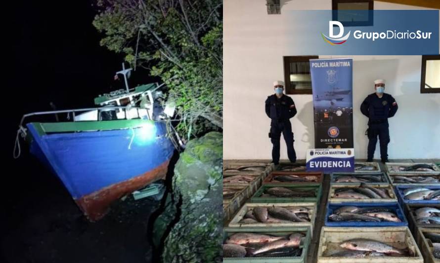 Quellón: Dos detenidos con más de 9 toneladas de salmón robado