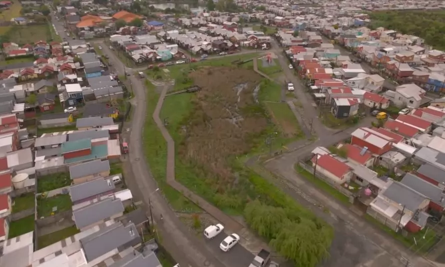 De Los Lagos al mundo: BirdsChile integra nueva campaña internacional de Imagen de Chile