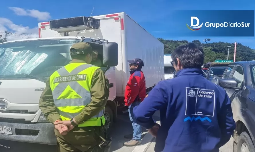 Aduana de Puerto Montt incautó cocaína, marihuana, LSD y hongos alucinógenos