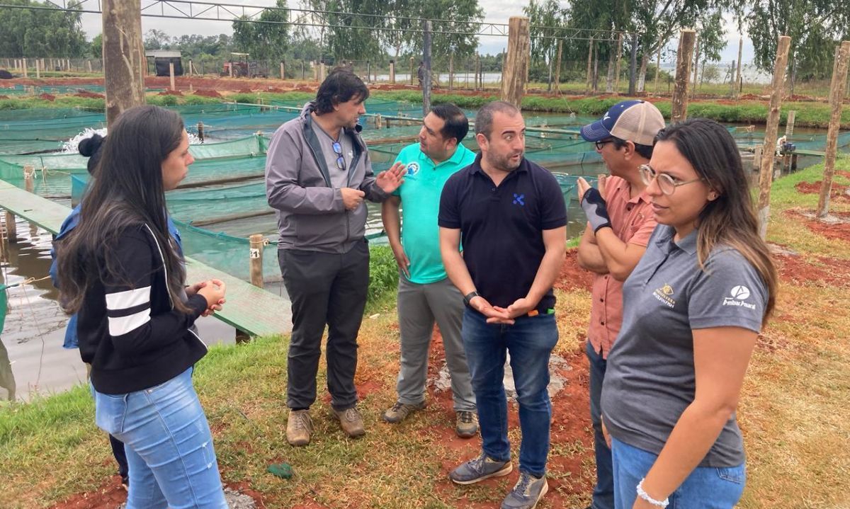 Crecen oportunidades para empresas exportadoras de Los Lagos en la industria acuícola brasileña