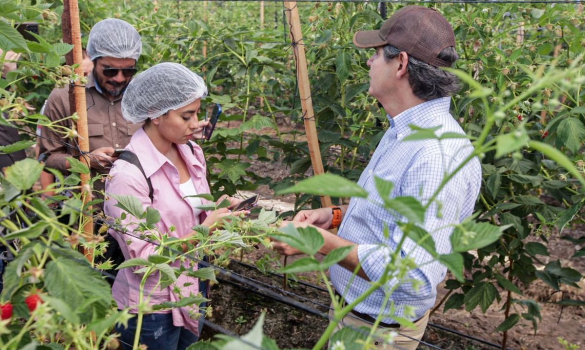 Ofertas de trabajo en el agro para ti