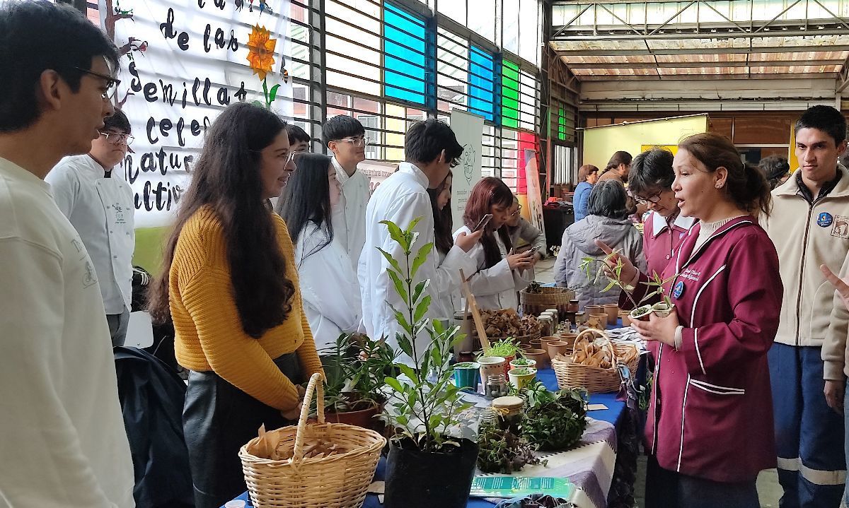 Liceo Comercial Miramar celebra la "Fiesta de la Semilla" Promoviendo la Agroecología y el Patrimonio Local