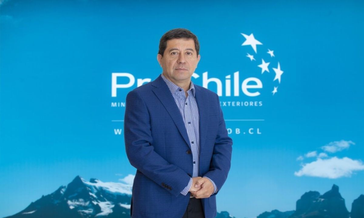 Director regional de ProChile Los Lagos destaca el posicionamiento internacional de la región en los World Summit Awards