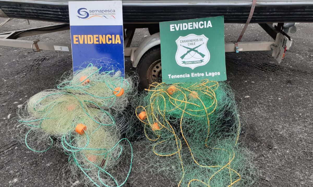 Detectan y retiran dos paños de redes de pesca instalados en el Lago Rupanco