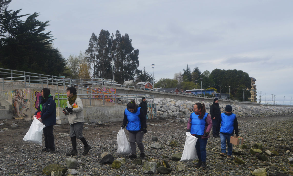 Exitosa jornada de limpieza de playas en Puerto Montt: 700 kilos de basura recolectada en Pelluco y Chinquihue