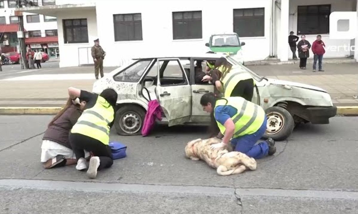 Con un realista simulacro de un accidente tránsito buscan concientizar sobre la prevención